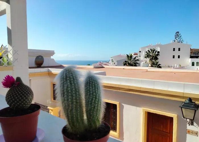 Windsor Park Atlantic View *